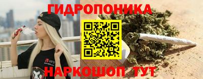 Альфа ПВП Моздок