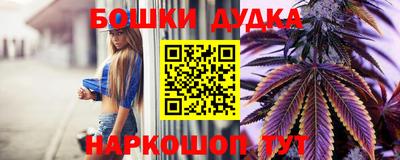 Альфа ПВП Моздок