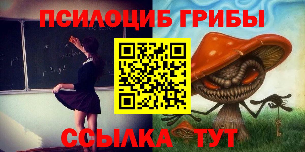 Псилоцибиновые грибы GOLDEN TEACHER Узловая