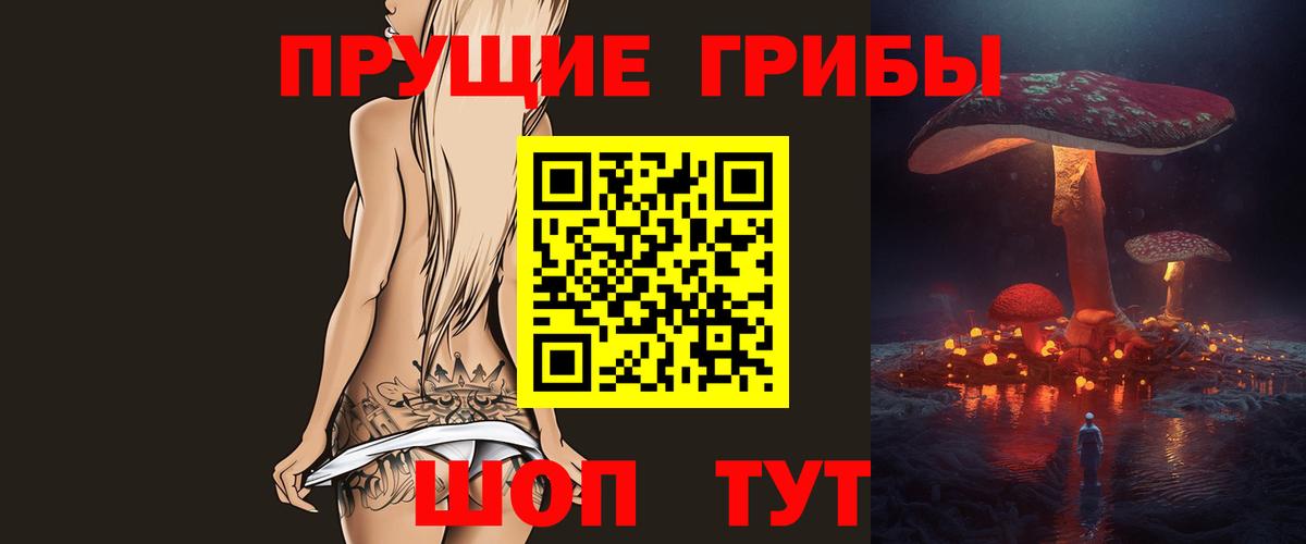 Галлюциногенные грибы Psilocybine cubensis  закладки  Вход с VPN  Узловая  Псилоцибиновые грибы Psilocybine cubensis 